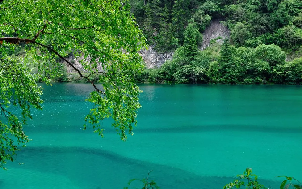 高效高端